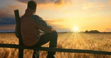 homem assentado em cerca olhando sol horizonte