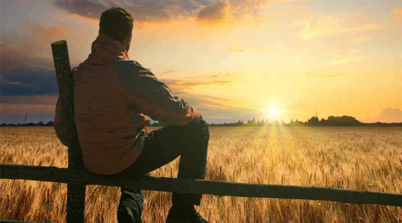 Como obter vida? 1 homem assentado em cerca olhando sol horizonte
