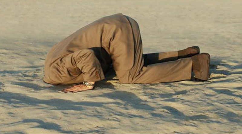 Aprendendo o temor do Senhor 1 Homem com a cabeça enfiada na areia