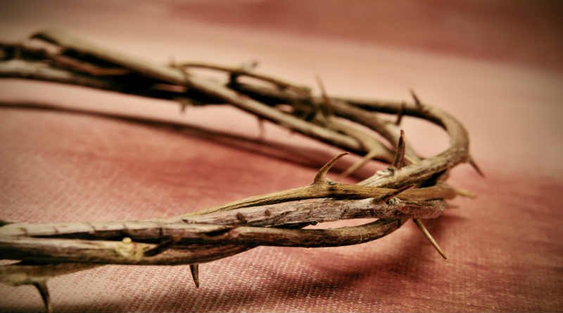Quem são aqueles que Deus deu a Cristo? 1 uma coroa feita de espinhos